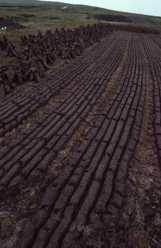 RWT 0328 344-36 Ireland Peat.jpg